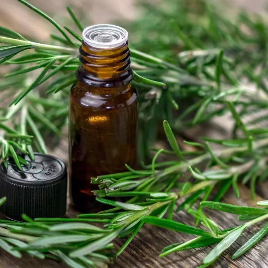 Huile de Romarin pour Barbe : Le Secret d'une Barbe Douce et Brillante