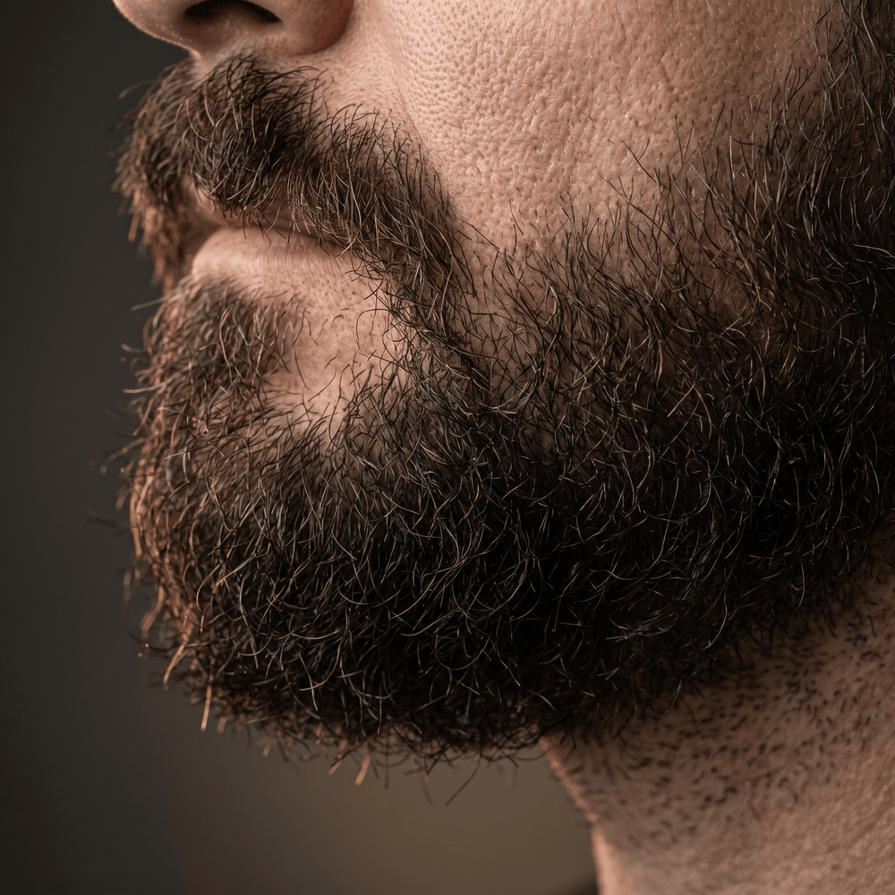 Une barbe qui pousse n'est pas une barbe maîtrisée.
