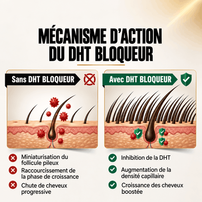 Bloqueur DHT Anti-Chute – Saw Palmetto Cheveux