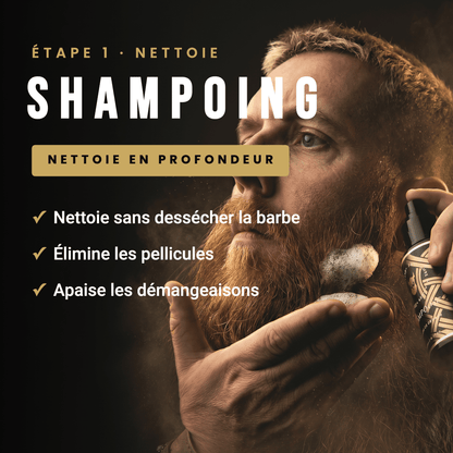 Coffret Soin Barbe Homme Complet 4-en-1 | Les Trésors d'Asgard